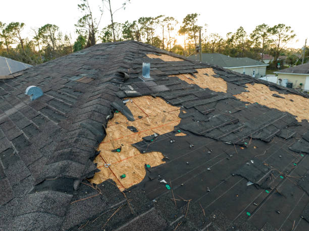 Best Gutter Installation and Repair  in Port Morris, NJ